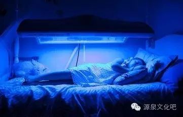 您知道吗？生命有多奇妙！解说词文案