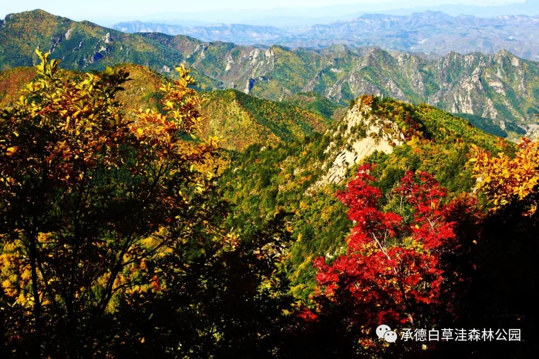 白草洼国家森林公园解说词文案