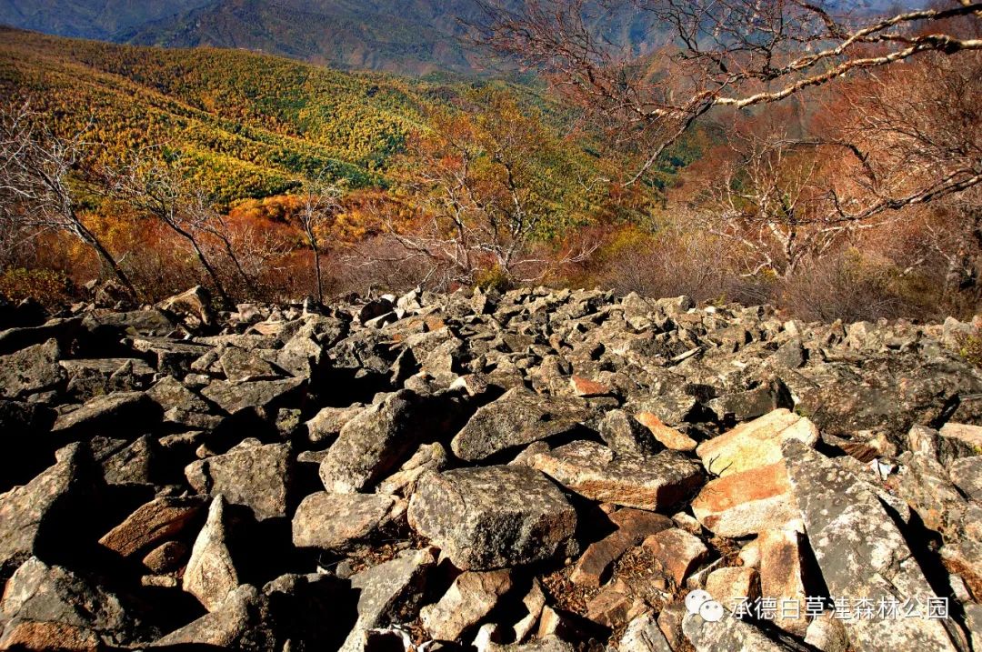 白草洼国家森林公园解说词文案