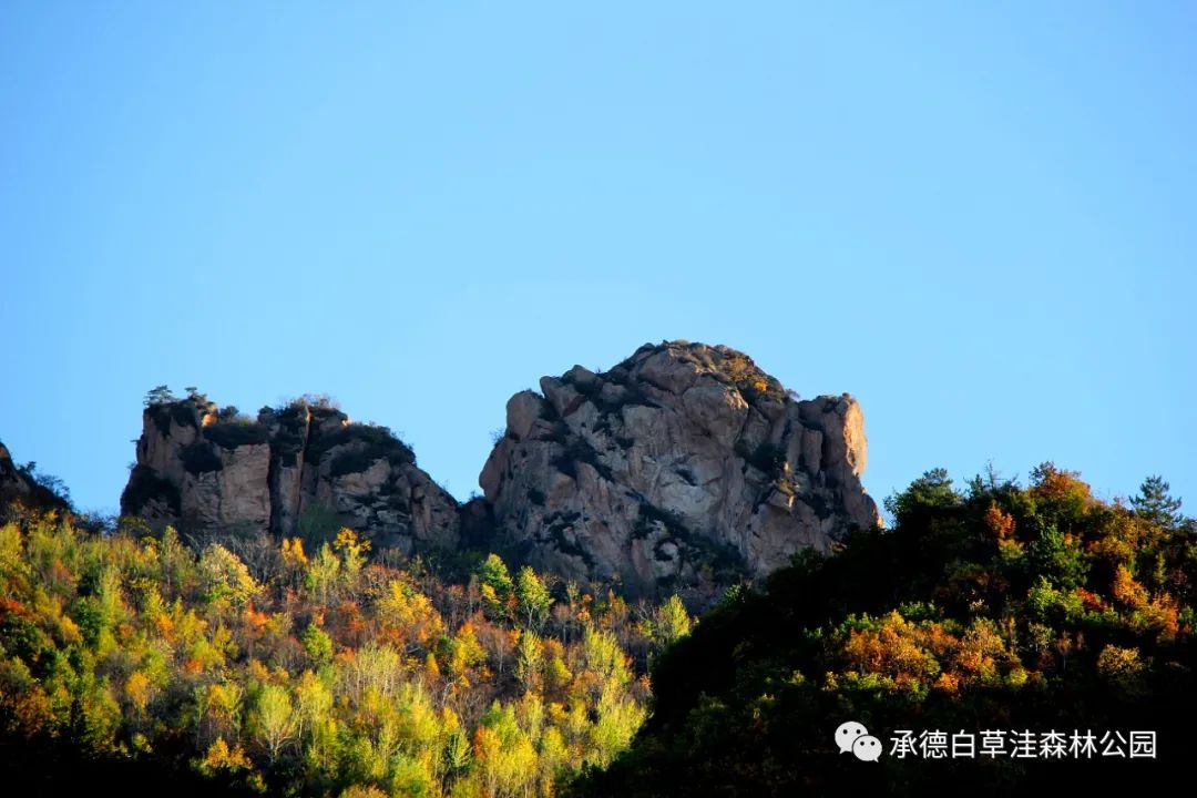白草洼国家森林公园解说词文案
