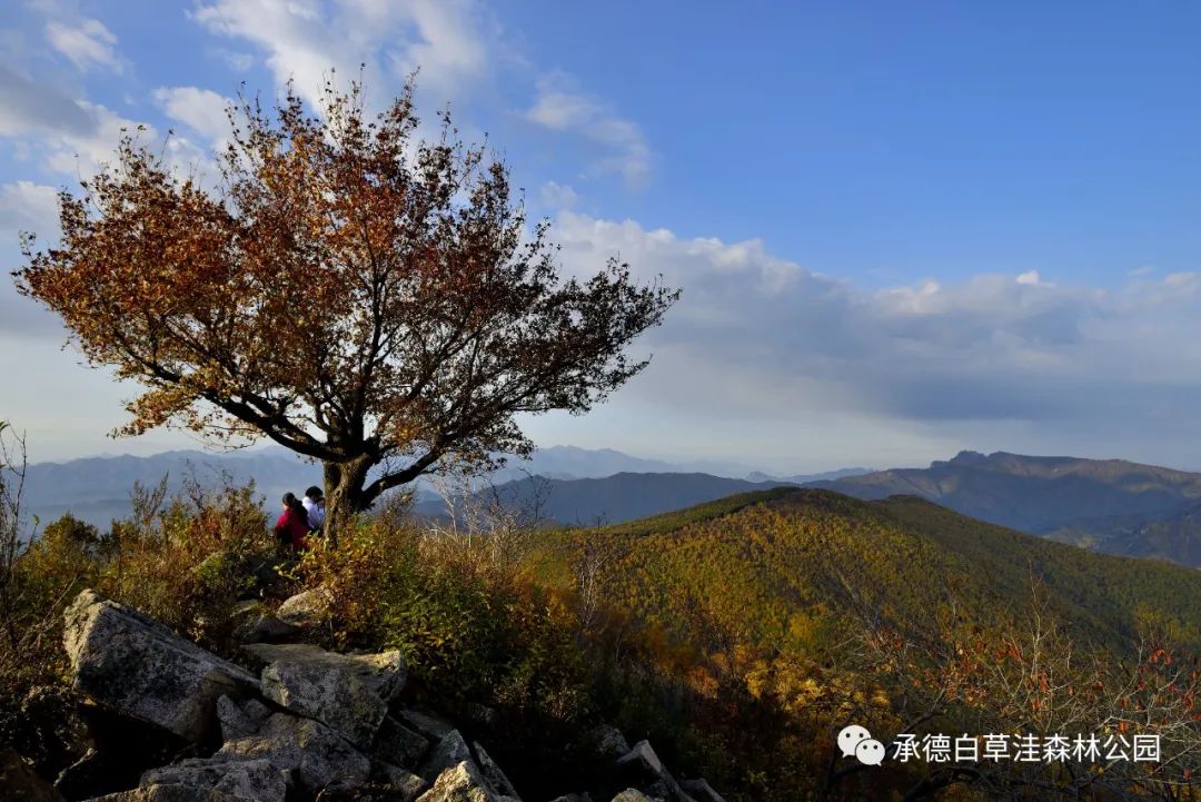 白草洼国家森林公园解说词文案