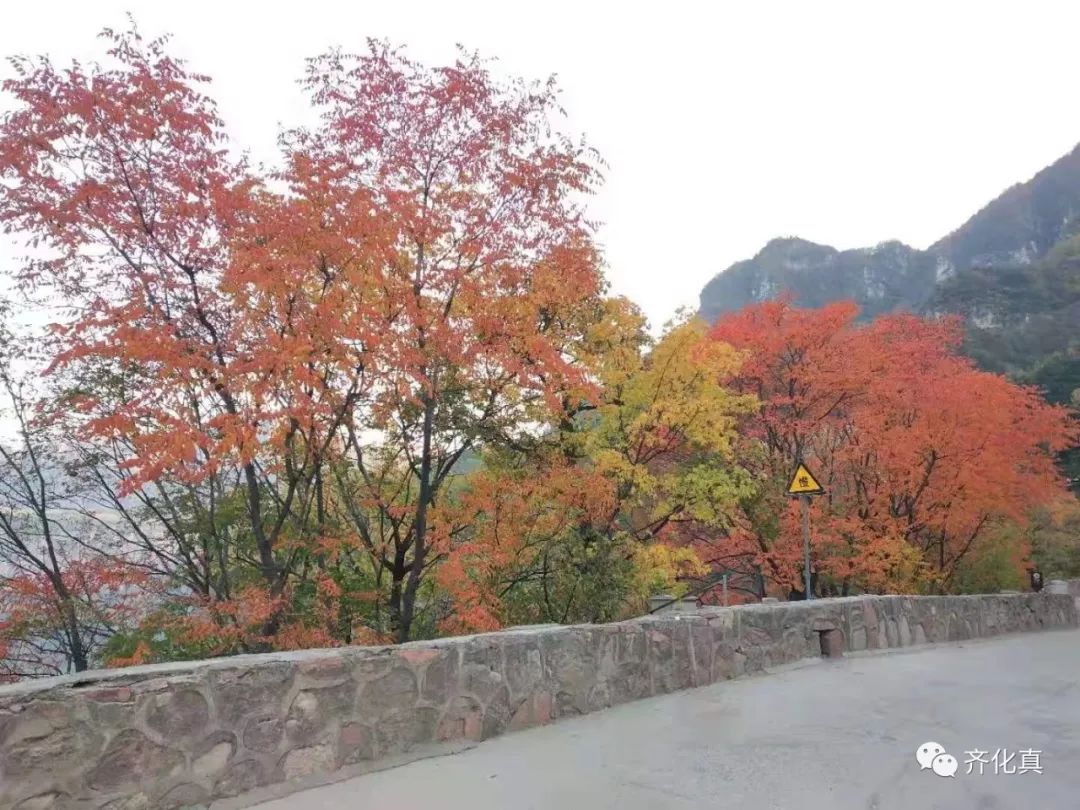 万仙山郭亮村路途导游词文案