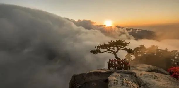  华山风景区导游词文案