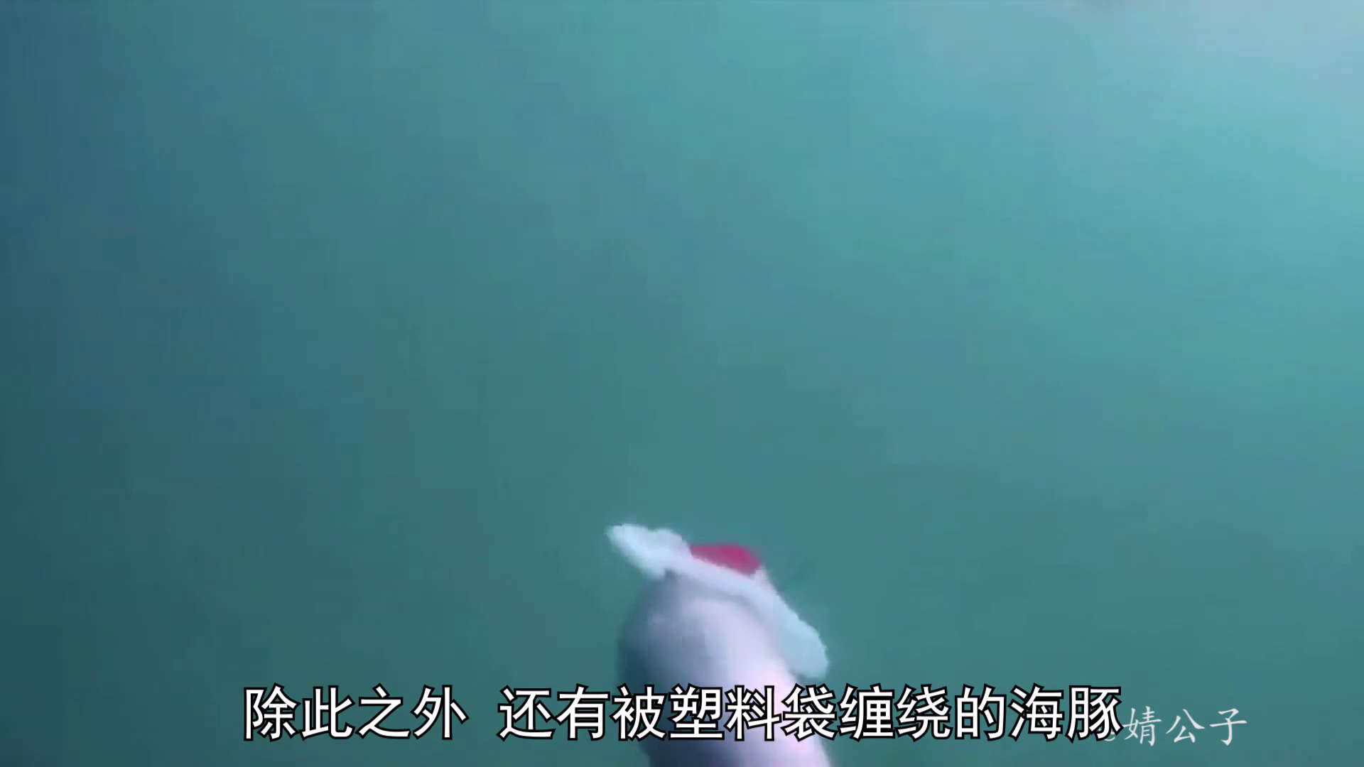 《塑料海洋》纪录片