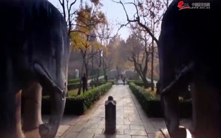 南京师范大学宣传片配音视频