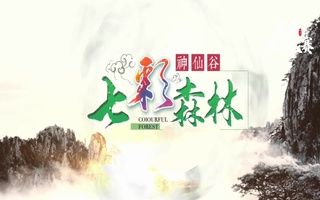 神仙谷旅游宣传片配音视频