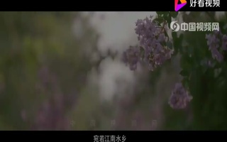 安徽八里河旅游度假区宣传片配音视频