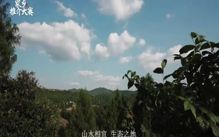 四川鹅溪镇宣传片配音视频