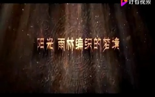 勐腊县民族团结宣传片配音视频