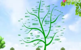 上海松力生物品牌宣传片配音视频