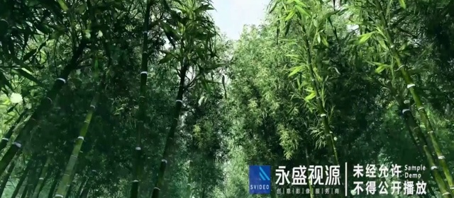 合兴控股集团宣传片配音视频